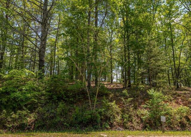 Property at Lot 59 Old Toccoa Loop, Mineral Bluff, GA 30559