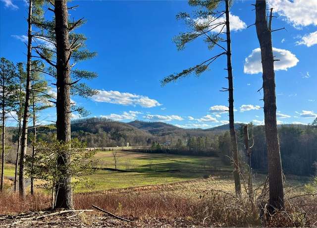 Property at Lot 112 Split Creek Rd, Morganton, GA 30560