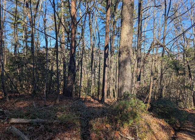 Property at Lot J251 Pine Ridge Ct, Ellijay, AL 36170