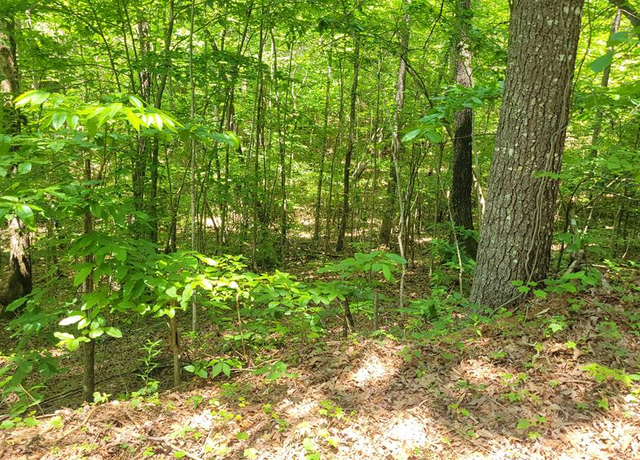 Property at 11,12 Mountain Laurel Est, Young Harris, GA 30582
