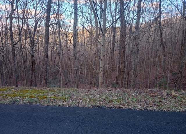 Property at Lt 163 Trailwood Dr, Ellijay, GA 30536