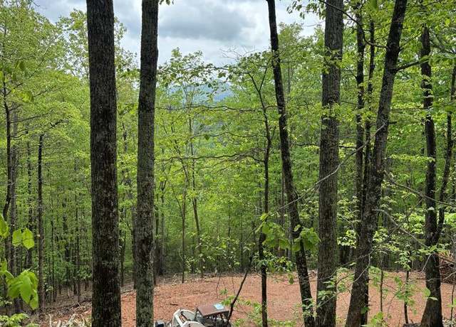 Property at Lot 4-25 Sahkanaga Dr, Murphy, NC 28906