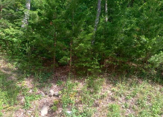 Property at Lt 233 Stone Cliff Dr, Ellijay, GA 30536