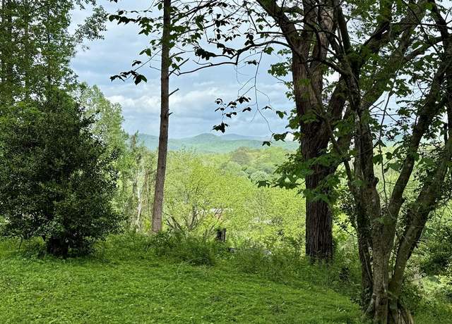 Property at 0 Hill St, East Ellijay, GA 30540