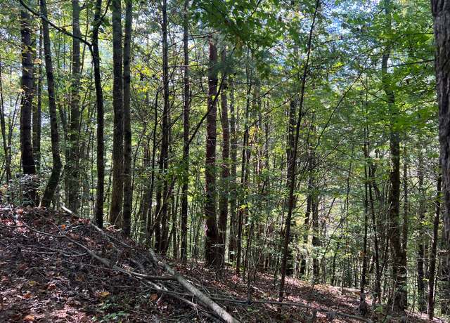 Property at 5 ACRES Conasauga Dr, Ellijay, GA 30540