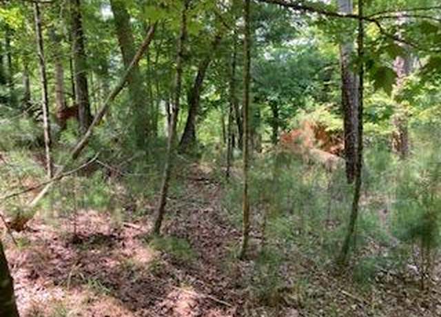 Property at LT 3041 Parnell Dr, Ellijay, GA 30540