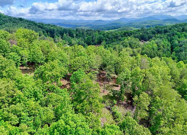 Property at Off Mason Rd, Brasstown, WV 26805