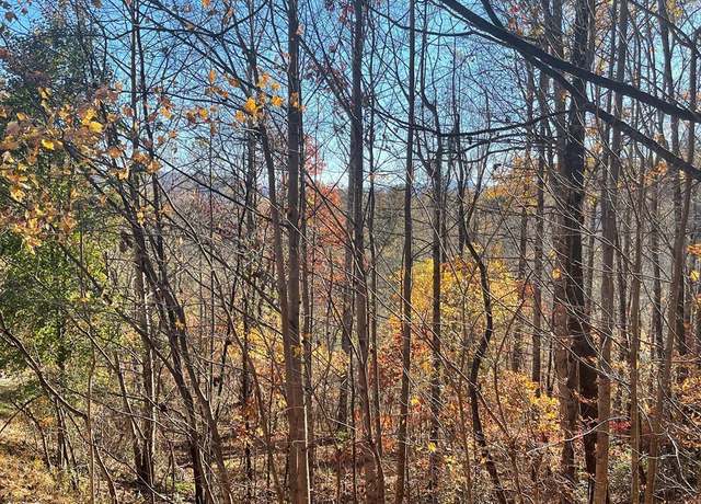 Property at Lot 41C Ash Branch Cir, Hayesville, NC 28904