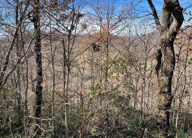 Property at Lot 31J Ashe Branch Dr, Hayesville, NC 28904