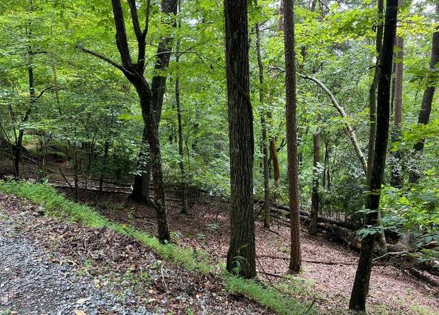 Property at 00 Summit Ln356,357,358, Ellijay, GA 30540