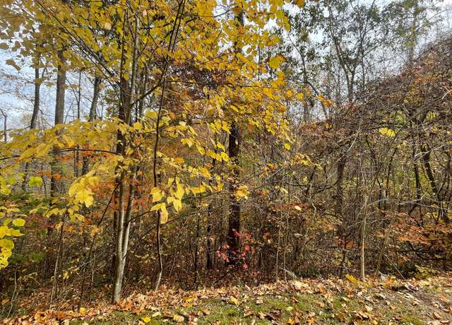 Property at LT5A Anns Ln, Hayesville, NC 28904