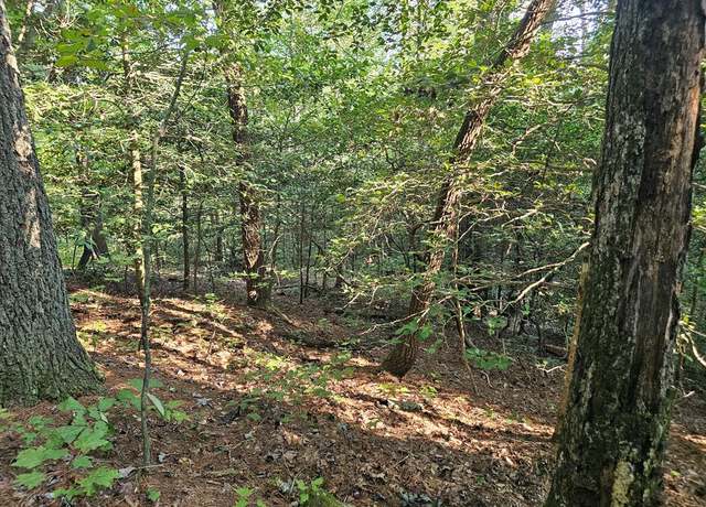 Property at 0 Bates Dr, Ellijay, GA 30540