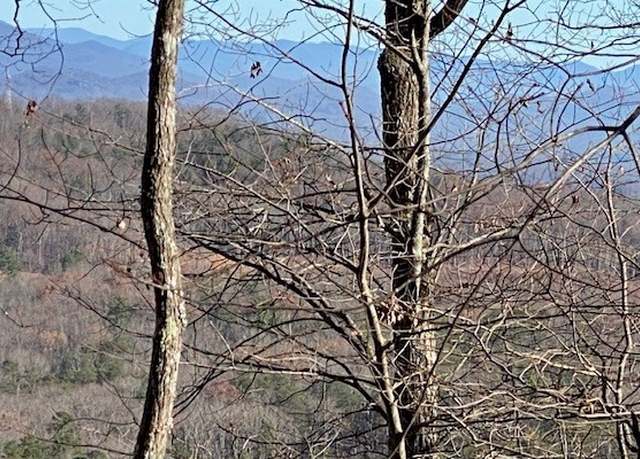 Property at LT 4 Sunrock Mountain Trc, Blue Ridge, GA 30513