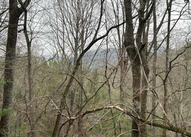 Property at Lot 12A Oak Loop, Mineral Bluff, GA 30559