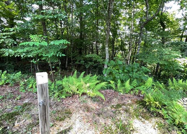 Property at Lot 37 Fodder Creek Mill Dr, Hiawassee, GA 30546