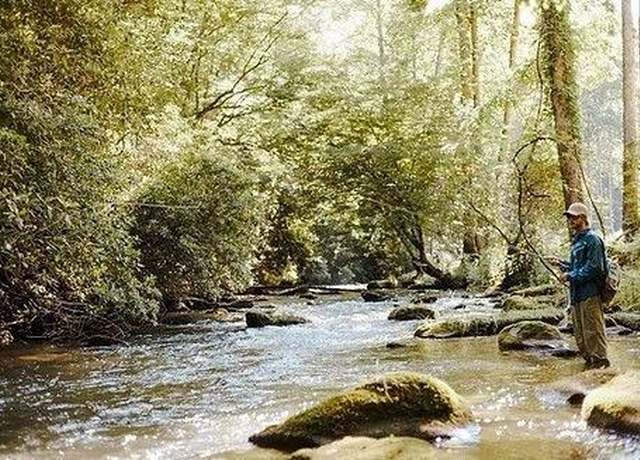 Property at 508 Ed Graves Rd, Murphy, NC 28906