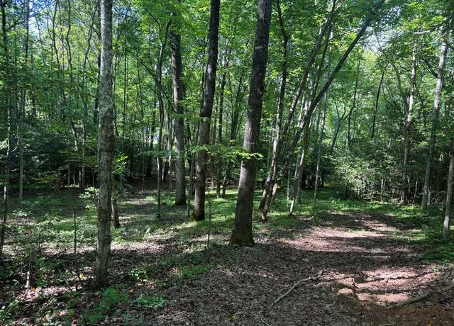 Property at 2 Acres Bennington Dr, Blairsville, GA 30512