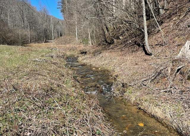 Property at 891 Bushy Head Rd, Cherry Log, GA 30522