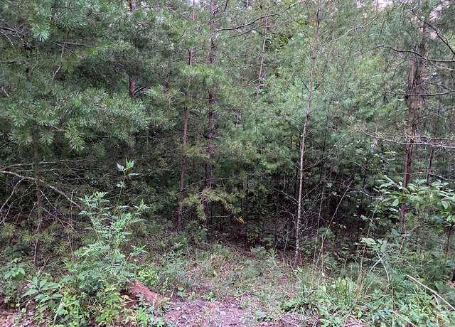 Property at Lt 46 Whitecliff Dr, Ellijay, GA 30540