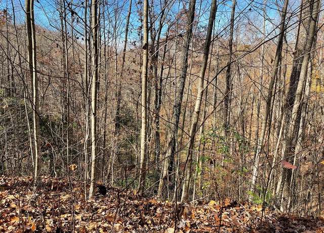 Property at Lot 49J Indian Trl, Hayesville, NC 28904