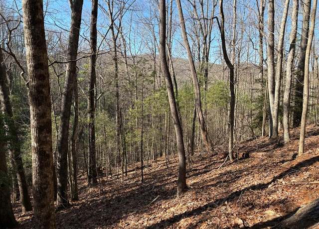 Property at LT 62 Gobblers Knob/Laurel, Suches, GA 30572