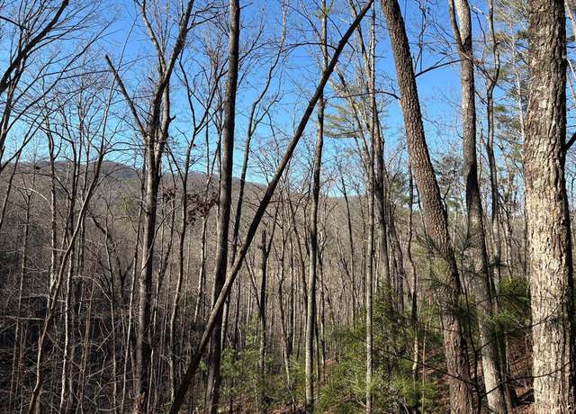 Property at LT 61 Laurel Trl, Suches, GA 30572