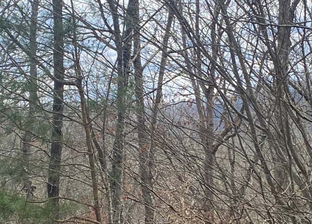Property at LT 47 Ralston Gap Rd, Morganton, GA 30560