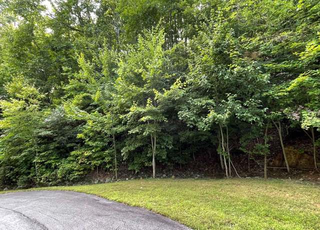 Property at LT 34 Overlook At Yh, Young Harris, GA 30582