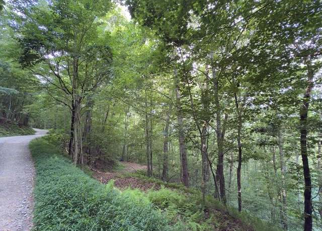Property at LOT 20 Locust Ln, Morganton, GA 30560