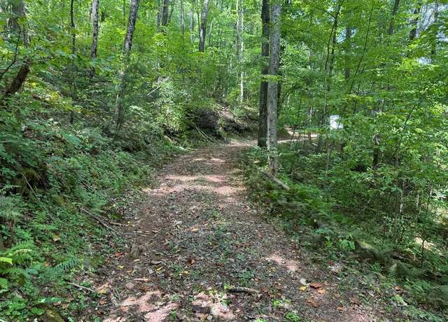 Property at 3.83Acre Heavens Gtwy, Suches, GA 30572