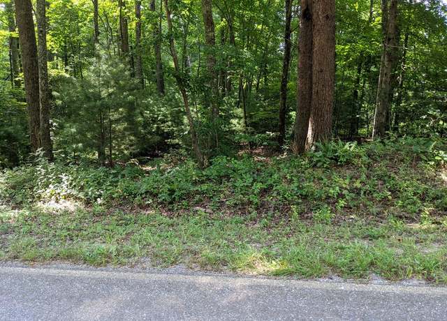 Property at 3.84 AC Matheson Cove Rd, Hayesville, NC 28904