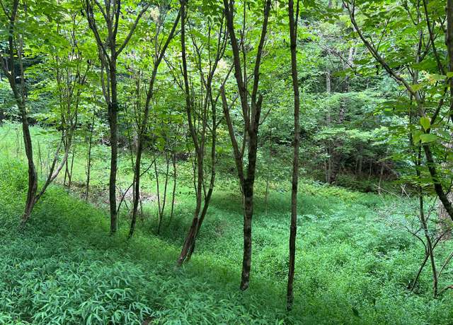 Property at LT 12 The Preserve At Beach Mtn, Brasstown, NC 28902