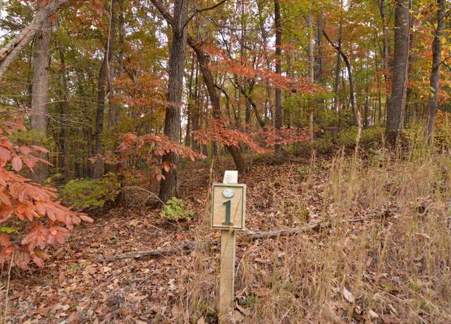 Property at LT 1 Serenity Ridge Ln, Blairsville, GA 30512