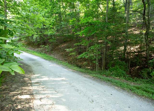 Property at Lot 161 Aj's Holler, Blairsville, GA 30512
