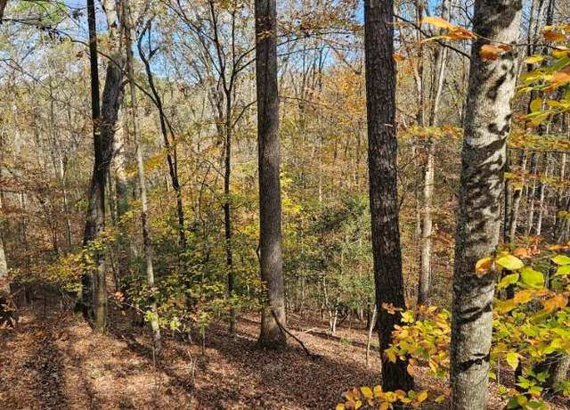 Property at Lot 266 Catawba Cir, Ellijay, GA 30540
