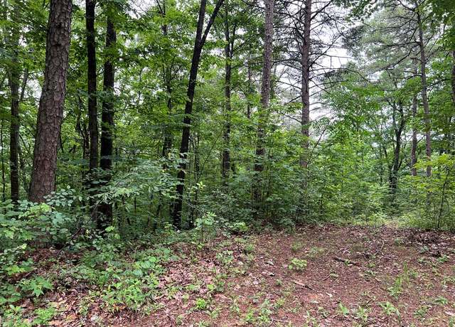 Property at 198 Log Round Mountain Trl, Ellijay, GA 30540