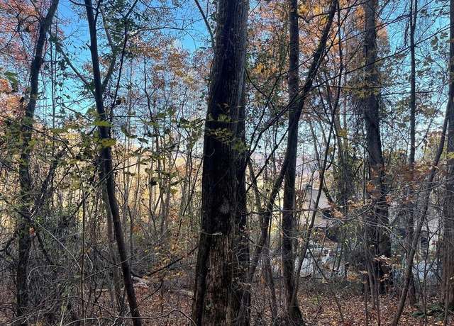 Property at Lot 51J Indian Trl, Hayesville, NC 28904