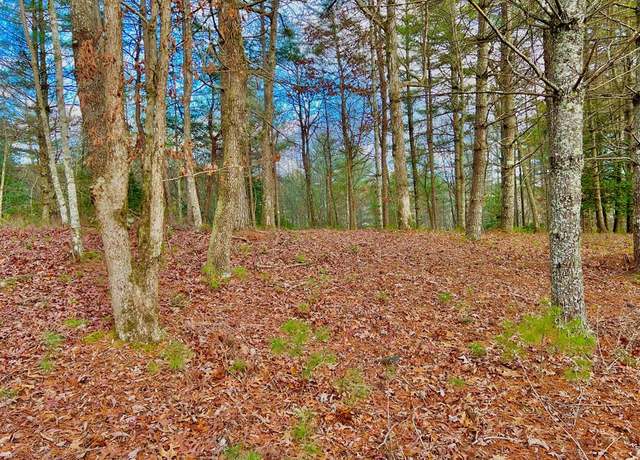 Property at Lot 5 Hawks Vw, Morganton, GA 30560