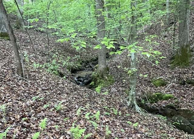 Property at Lot 127 Water Oak Dr, Ellijay, GA 30540