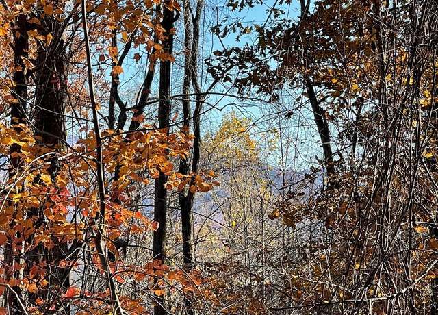 Property at 36 54C Ash Branch Cir, Hayesville, NC 28904