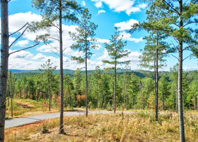 Property at LT 62 Seven Mile Creek Rd, Talking Rock, GA 30175