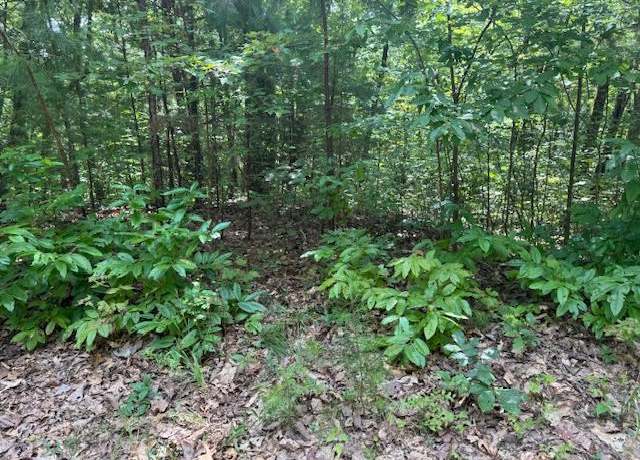 Property at 14 Abbott Mill Rd, Ellijay, GA 30540