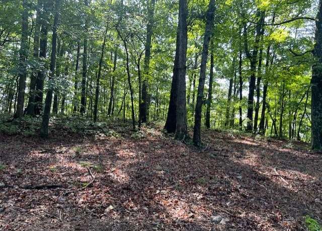Property at TR10 Wendy Hill Rd, Talking Rock, GA 30175