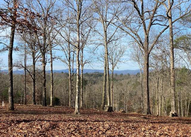 Property at Lot 10 Arbor Creek Trl, Mineral Bluff, GA 30559