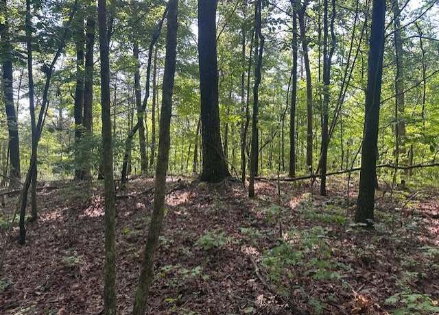 Property at Tract 3 Wendy Hill Rd, Talking Rock, GA 30175