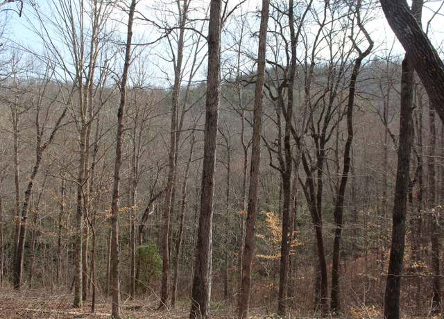 Property at 7 Fodder Creek Mill Rd, Hiawassee, GA 30546