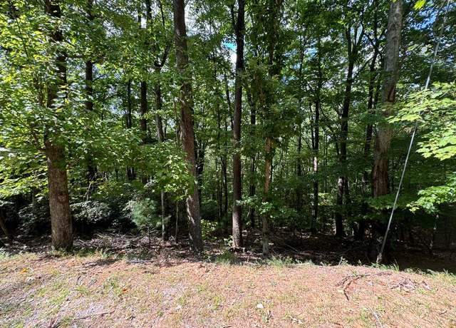 Property at Lot M42 Sleepy Hollow Rd, Ellijay, GA 30536