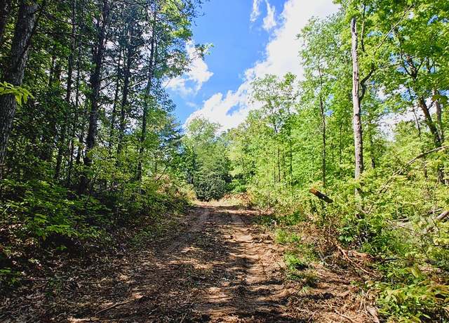 Property at 163 Megan Trace Ln, Turtletown, TN 37391