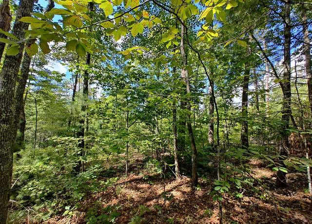 Property at 168 Amber Overlook, Turtletown, TN 37391