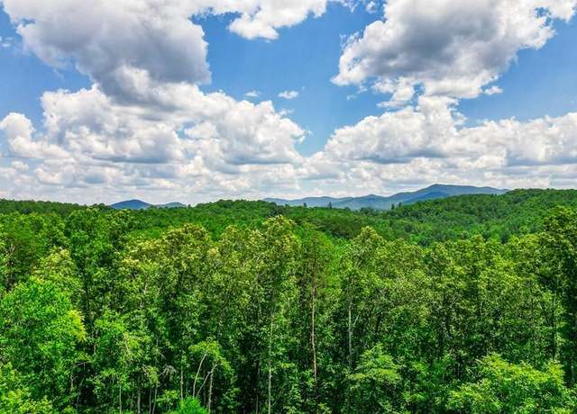Property at 0 Hemlock Ridge Subd, Turtletown, TN 37391